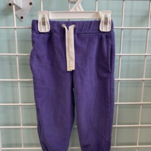 Size 18 Month - Purple Carter Fleece Pant