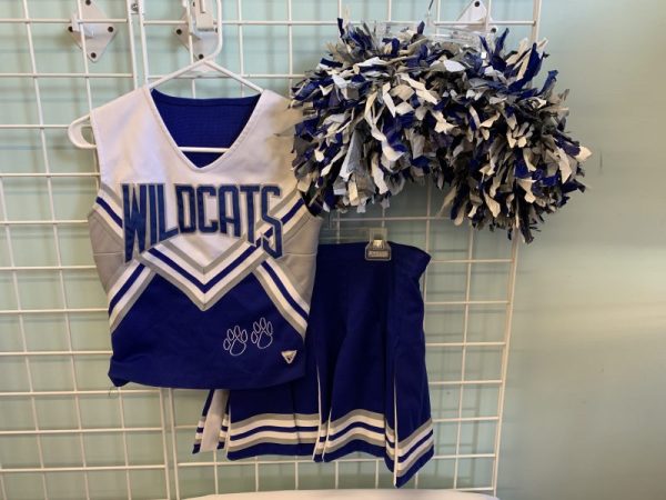 Costume: Size 8/14 Year - Wildcats Cheerleader