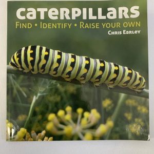 Picture Book - Caterpillars