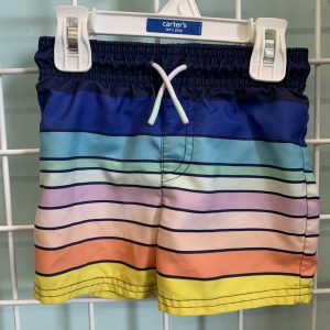 Size 18 Month - Blue/Rainbow Stripe Swim Trunk