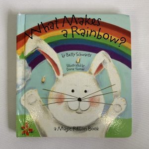 Board Book - What Makes A Rainbow?