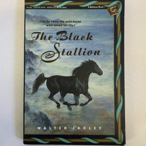 Chapter Book - The Black Stallion