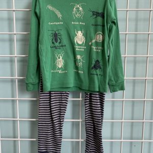 Size 3T - Green/Blue Bug PJ Set