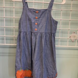 Size 10 - Blue Pumpkin Gymboree Dress