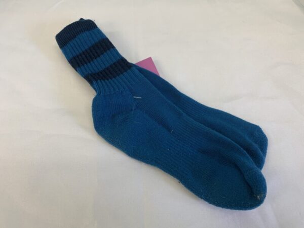 Socks - Youth, Blue Smart Wool