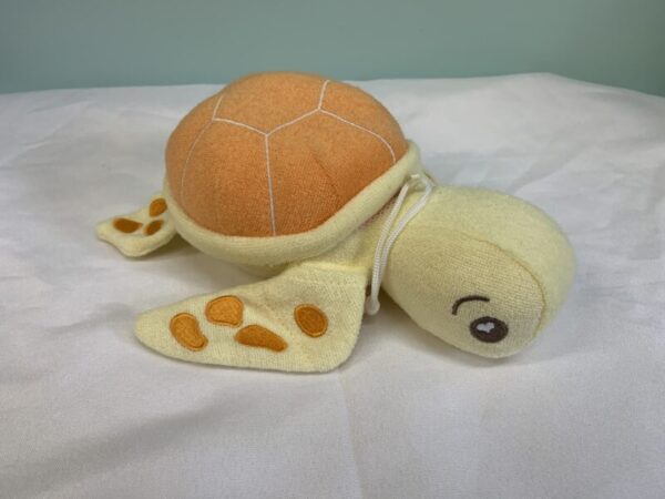 Gear: Soapbox Turtle