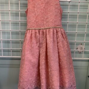 Size 7 - Pink Lace Biscotti Dress