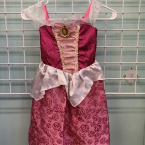 Costume: Size 4/6 - Princess Aurora Sleeping Beauty