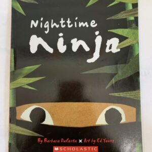 Picture Book - Nighttime Ninja