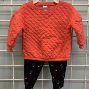 Size 09 Month - Orange/Black Floral Set