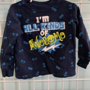 Size 3T - Blue I'm All Kinds of Awesome Shirt