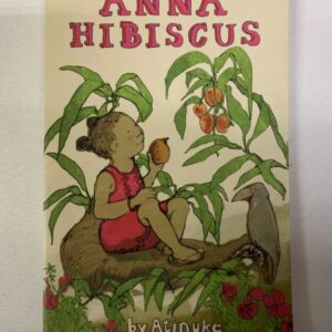 Chapter Book - Usborne, Anna Hibiscus #01