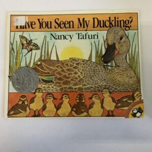 Picture Book - Have You Seen My Duckling
