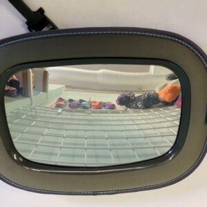 Gear: Grey Carseat Mirror