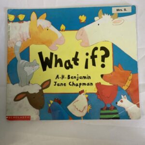 Picture Book - What If?