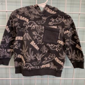 Size 18/24 Month - Grey Dinosaur Roar Sweatshirt