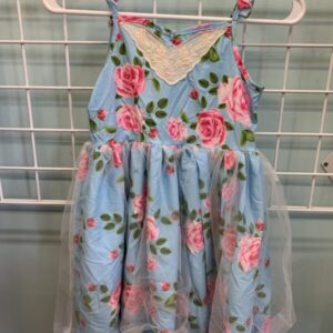 Size 6 - Blue/Pink Floral Dress