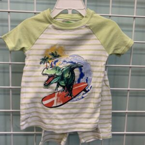 Size 3T - Green/White Dinosaur Organic PJ Set