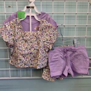 Size 2T - Purple Floral Shirt/Short Set (New)