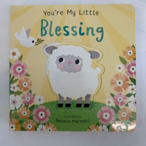 Board Book - Your're My Little Blessing