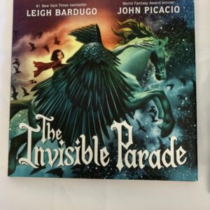 Picture Book - The Invisible Parade
