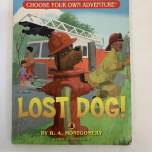 Chapter Book - Choose Your Own Adventure, Lost Dog!