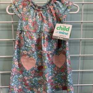 Size 06/09 Month - Blue Floral Dress (New)