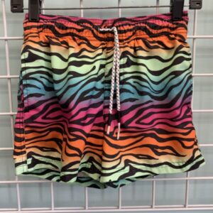 Size 10/12 - Rainbow Zebra Swim Trunk