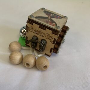 Toy: Wooden Brain Up Fidget Cube
