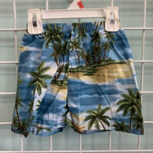 Size 4T - Blue Beach Short