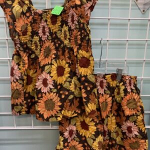 Size 8 - Brown Sunflower Gymboree Set