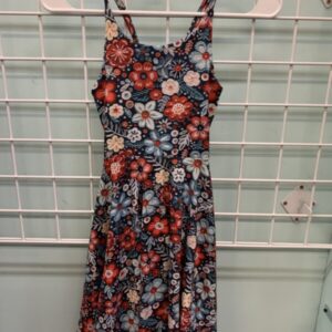 Size 8 - Blue/Red/White Rosey Posey Dress (Made in Altoona WI)