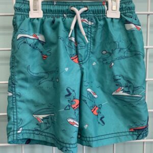 Size 4 - Green Dinosaur Swimtrunk