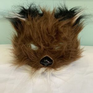 Costume: Size Youth - Animal Mask