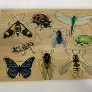 Puzzle: 09 pc. Insects/Bugs Wooden