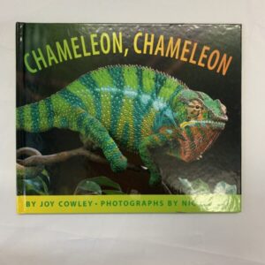 Picture Book - Chameleon, Chameleon