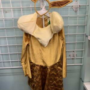 Costume: Size 7/8 Youth - Eevee Pokémon