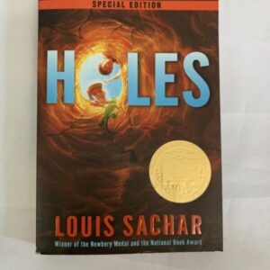 Chapter Book - Holes