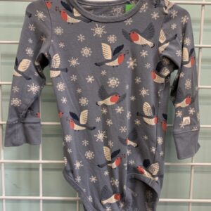 Size 09/12 Month - Blue Snowbird Onesie