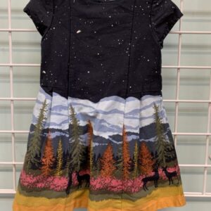 Size 2T - Blue Tree & Sky Dress