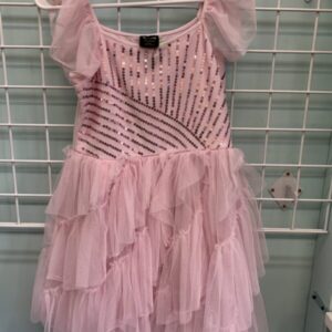Size 14 - Pink Wicked Dress