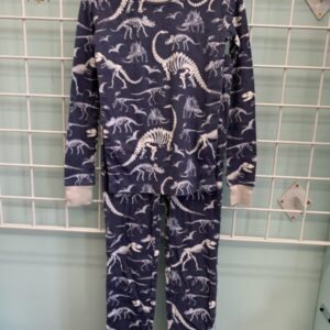 Size 8 - Blue Dinosaur Pottery Barn PJ Set