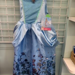 Costume: Size 7/8 Year - Princess Cinderella (New)