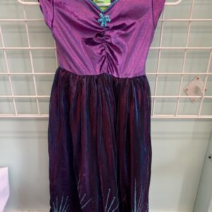 Costume: Size 5/7 - Purple Little Adventures Ice Princess