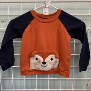 Size 4T - Blue/Orange Fox Sweatshirt