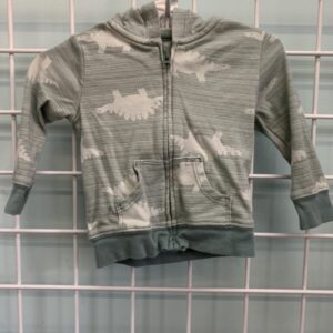 Size 06/09 Month - Green Dinosaur Sweatshirt