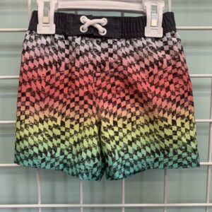 Size 18 Month - Grey/Rainbow Swim Trunk