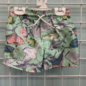 Size 2T - Green Fish Swim Trunk