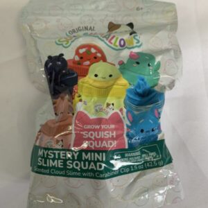 Toy - Squishmallow, Mystery Mini Slime Squad (New)