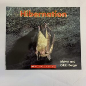 Picture Book - Hibernation